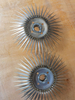Titanium Jig Grade1 Grado2
